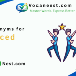 Synonym for Laced