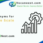 Synonym for Large Scale
