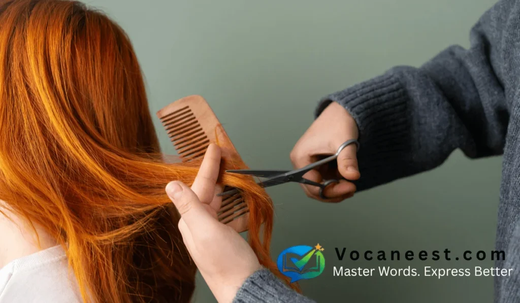 A very short, closely trimmed human haircut.