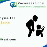 Synonyms for Lenient