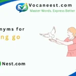 synonym for letting go