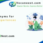 synonym for life experiences