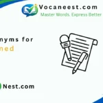 synonym for lined