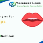 synonym for lips