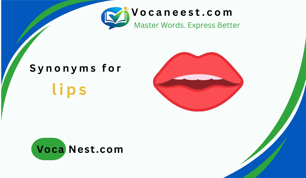 💋 Synonym for Lips: 42+ Best Alternatives to Use in (2026)