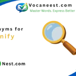 synonym for magnify