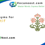 Synonym for Motif