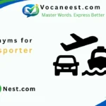synonym for transporter