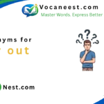 synonym for try out