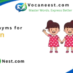 synonym for twin