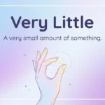 synonym for very little